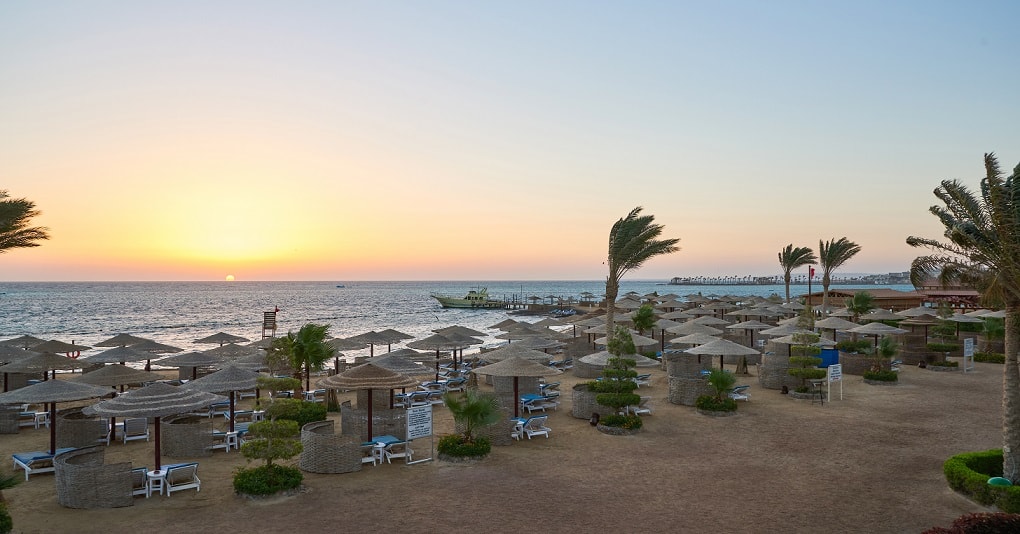 Beach with palm trees and umbrellas